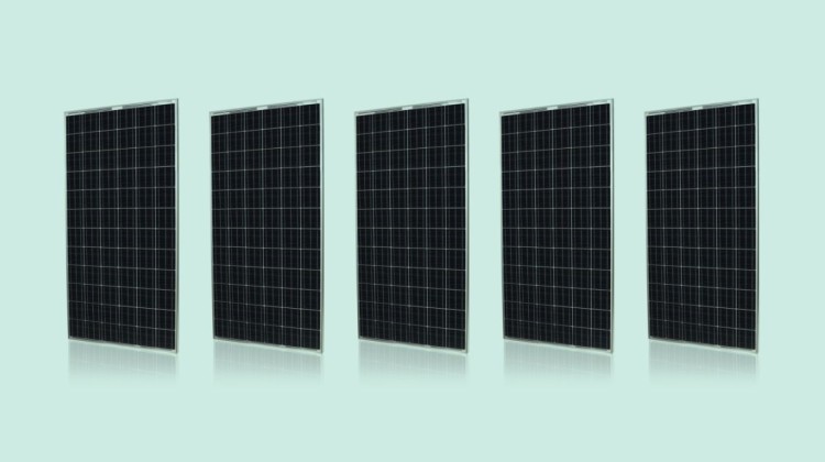 Silvantis 330 watt Solar Panel. Image: Silvantis